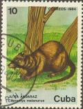 Colnect-679-262-Black-tailed-Hutia-Capromys-melanurus.jpg