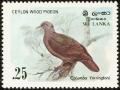 Colnect-862-148-Sri-Lanka-Wood-Pigeon-Columba-torringtoni.jpg