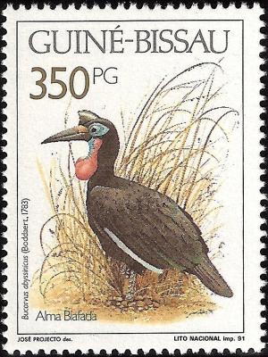 Colnect-1177-129-Abyssinian-Ground-Hornbill-Bucorvus-abyssinicus.jpg