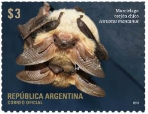 Colnect-1914-149-Small-Big-eared-Brown-Bat-Histiotus-montanus.jpg