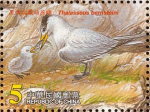 Colnect-2514-565-Chinese-Crested-Tern%C2%A0Thalasseus-bernsteini.jpg