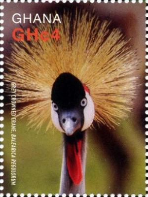 Colnect-3657-443-Grey-Crowned-Crane-Balearica-regulorum.jpg