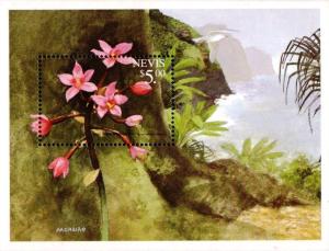 Colnect-4411-223-Philippine-wind-orchid-Spathoglottis-plicata.jpg