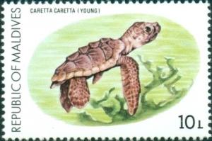 Colnect-4559-113-Loggerhead-Turtle-Caretta-caretta.jpg
