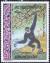 Colnect-330-696-Black-crested-Gibbon-Hylobates-concolor.jpg