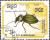 Colnect-889-012-Golden-Ground-Beetle-Carabus-auronitens.jpg