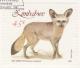 Colnect-1232-897-Bat-eared-Fox-Otocyon-megalotis.jpg