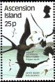 Colnect-1586-529-Ascension-Frigatebird-Fregata-aquila-Masked-Booby-Sula-d.jpg