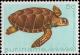 Colnect-2564-066-Loggerhead-Turtle-Caretta-caretta.jpg