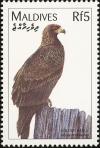 Colnect-1631-931-Golden-Eagle-Aquila-chrysaetos.jpg