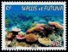 Colnect-902-352-Seabed-with-coral.jpg