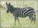Colnect-5914-749-Zebra-Equus-zebra.jpg