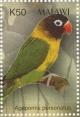 Colnect-6028-504-Masked-Lovebird-Agapornis-personata.jpg