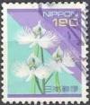 Colnect-708-665-Pecteilis-radiata.jpg