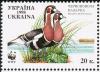 Colnect-1405-435-Red-breasted-Goose-Branta-ruficollis.jpg