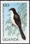 Colnect-1712-383-Long-tailed-Fiscal-Lanius-cabanisi.jpg