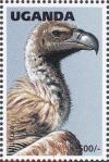 Colnect-1712-461-White-backed-Vulture%C2%A0Gyps-africanus.jpg