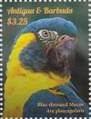 Colnect-2977-551-Blue-throated-Macaw-Ara-glaucogularis.jpg