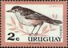 Colnect-4093-122-Rufous-bellied-Thrush-Turdus-rufiventris.jpg