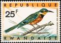 Colnect-1780-781-Cinnamon-chested-Bee-eater-Merops-oreobates.jpg
