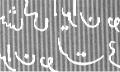 Colnect-1821-563-Persian-lion-red-crescent-and-red-cross-back.jpg