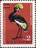 Colnect-3665-199-Black-Crowned-Crane-Balearica-pavonina.jpg