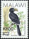 Colnect-6028-289-Silvery-cheeked-Hornbill-Bycanistes-brevis.jpg