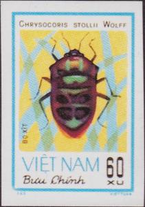 Colnect-2512-893-Shield-backed-Bug-Chrysocoris-stollii.jpg