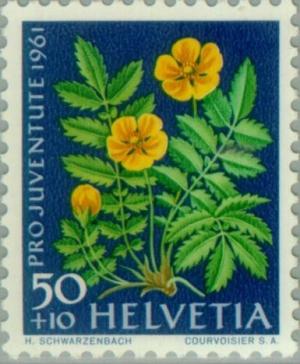Colnect-140-181-Silverweed-Potentilla-anserina.jpg