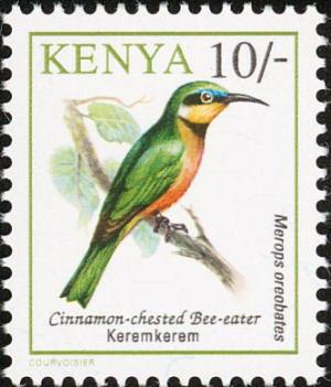 Colnect-752-320-Cinnamon-chested-Bee-eater-Merops-oreobates.jpg