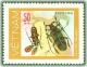 Colnect-1625-767-Black-Pasti-coloured-Capricornbeetle-Thysia-wallacei.jpg