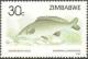 Colnect-3265-662-Eastern-Bottle-nosed-Mormyrid-Mormyrus-longirostris.jpg
