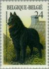Colnect-186-187-Groenendael-Sheepdog-Canis-lupus-familiaris.jpg