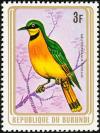 Colnect-3097-625-Little-Bee-eater-Merops-pusillus.jpg