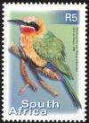 Colnect-675-269-Whitefronted-Bee-eater-Merops-bullockoides.jpg