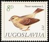 Colnect-763-596-Eurasian-Tree-Sparrow-Passer-montanus.jpg
