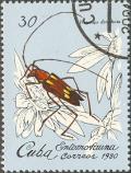 Colnect-660-287-Longhorn-Beetle-Heterops-dimidiata.jpg