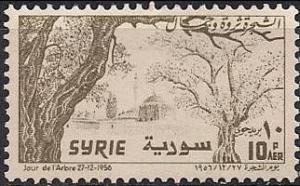 Colnect-1128-759-Trees-before-Mosque.jpg