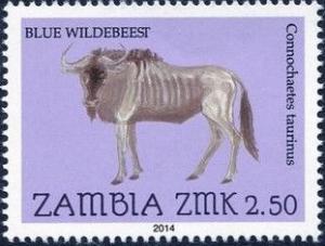Colnect-2448-605-Blue-Wildebeest-Connochaetes-taurinus.jpg