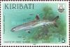 Colnect-1752-146-Whitetip-Reef-Shark-Triaenodon-obesus.jpg