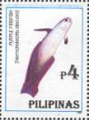 Colnect-3002-700-Elegant-Firefish-Nemateleotris-decora.jpg