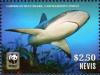 Colnect-4412-963-Caribbean-Reef-Shark-Carcharhinus-perezi.jpg