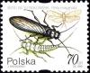 Colnect-4852-238-Stonefly-Perla-marginata.jpg