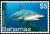 Colnect-2355-513-Caribbean-Reef-Shark-Carcharhinus-perezi.jpg