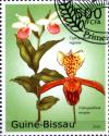 Colnect-3241-249-Cypripedium-reginae---Pahiopedilum-insigne.jpg