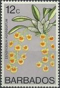 Colnect-1784-672-Ornithidium-aggregatum-synDendrobium-aggregatum.jpg