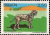 Colnect-4059-483-Fila-Brasileiro-Canis-lupus-familiaris.jpg