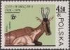 Colnect-1795-080-Hartebeest-Alcelaphus-buselaphus-ssp-caama-.jpg