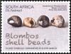 Colnect-2305-663-Blombos-Shell-Beads-oldest-ornaments.jpg