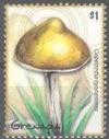 Colnect-4508-327-Copelandia-cyanescens.jpg